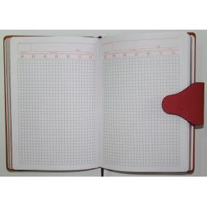 Деловой дневник А-5 н/дат., 160 л., на магните, фольгированный торец (клетка)