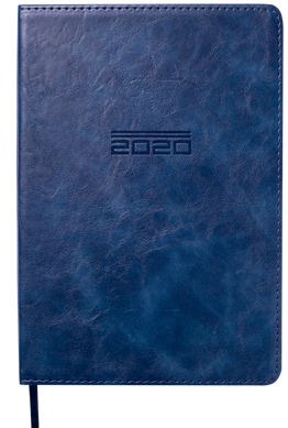 Ежедневник датированный 2020 A5 ALTRIUM Buromax BM2194-01
