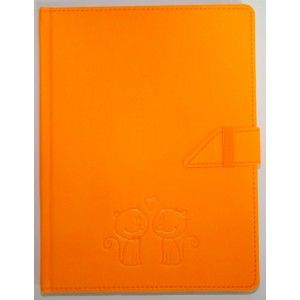 Записная книжка В6 Skill Rasso ЗВ-95 клетка, белая бумага, 120 листов, на хлястике, оранжевый