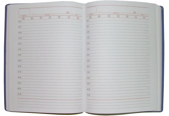 Щоденник недатований BRISK ЗВ-433 SARIF А5 (14,2х20,3) білий блок з французькою палітуркою, бордо