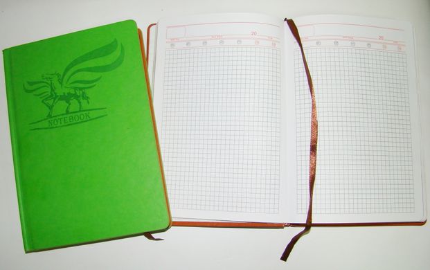 Деловой дневник А5 (160 листов) клетка, обложка кожзам, золотой торец